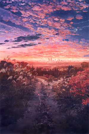 林渊渊陆羡羽白念念