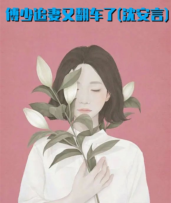 傅少追妻又翻车了沈安言